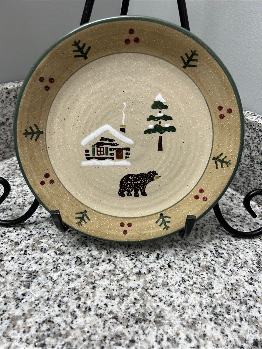 Sonoma Lodge Stoneware 8” Salad Plates (4)